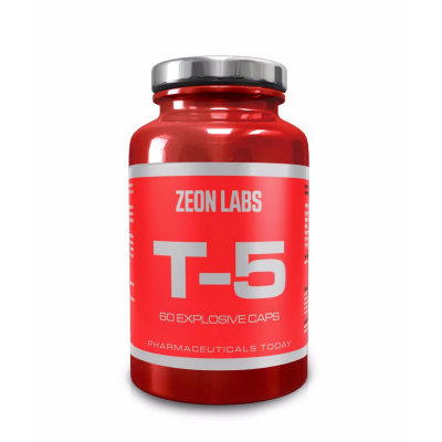 T5