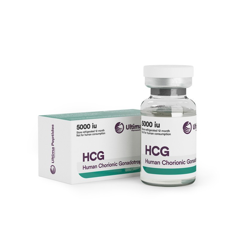 HCG 5000 IU from Ultima Pharmaceuticals, Peptides steroids