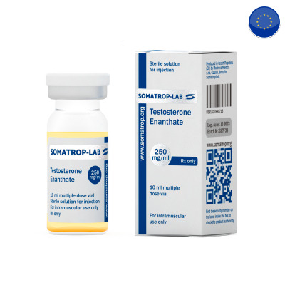 Testosterone Enanthate 250 250 mg/ml from Somatrop-Lab, Injectables steroids