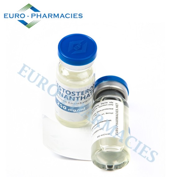Testosterone Enanthate 250 250 mg/ml from Euro-Pharmacies, Injectables steroids